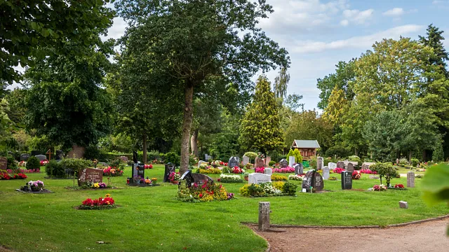 Ein Grabfeld auf dem Friedhof Rensefeld