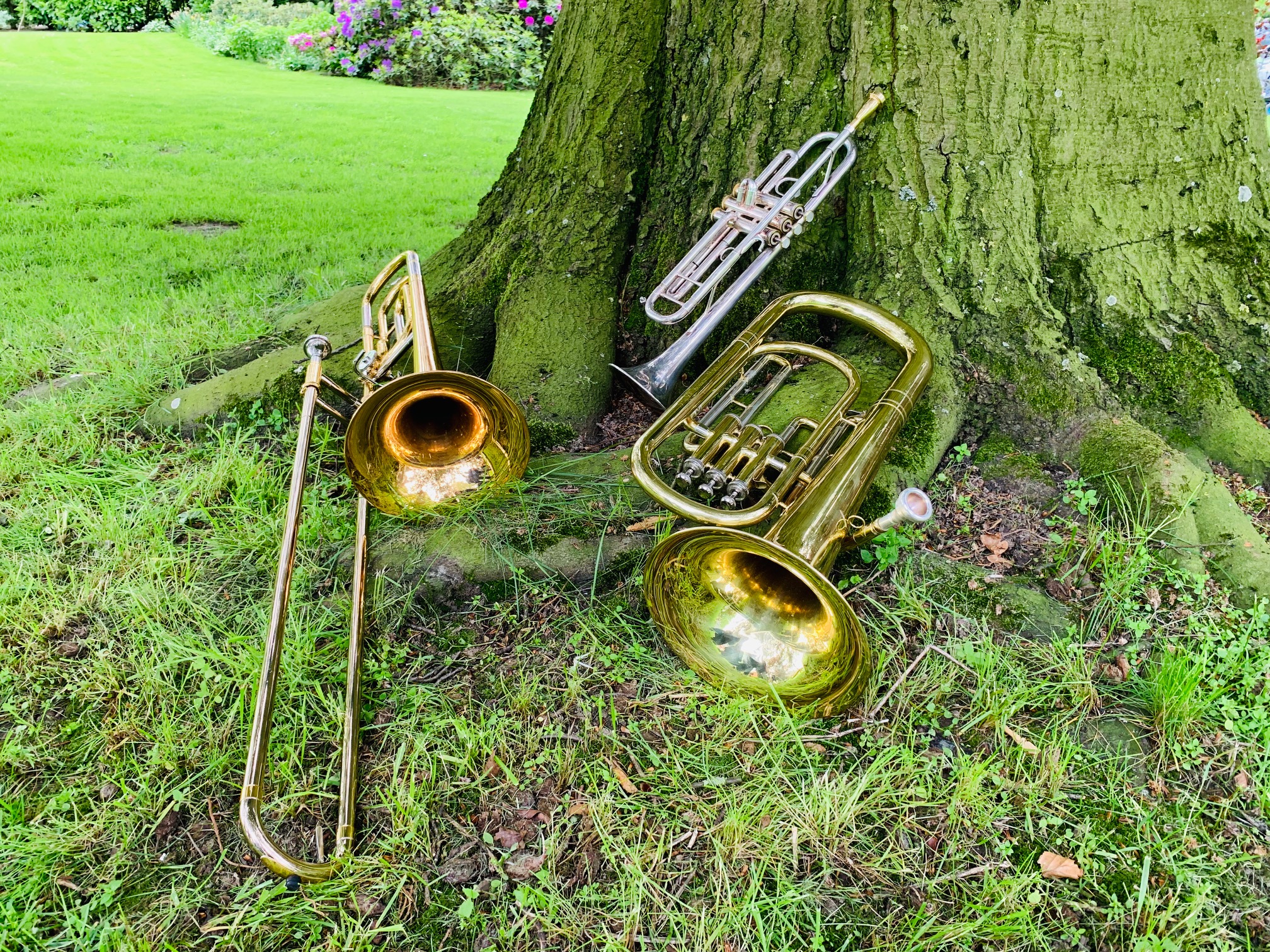 Hintergrundbild Instrumentalgruppen Kirchengemeinde Schwartau